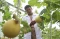 Agro Edukasi Wisata...