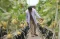 Agro Edukasi Wisata...