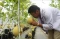 Agro Edukasi Wisata...