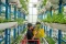 Kebun Vertikal Hidroponik...