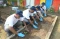 ANTAM Gelar Urban Farming...