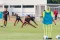 Latihan Terakhir Timnas...