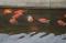 Dari Kolam Kecil ke...