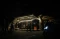 Sensasi Wisata Malam...