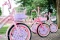 Sepeda Anak United Bike...