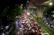 Macet Horor di Simpang...