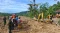 Tanah Longsor Banjarnegara:...