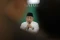 Gus Yahya Tegaskan Masih...