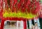 Libur Natal, Pengunjung...