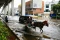 Hujan Deras Picu Banjir...