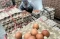 Harga Telur Ayam Naik...