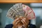 Rupiah Ditutup Melemah...