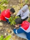 Hutan Petrofin Tumbuh...