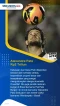 Wow! Berikut ini 5 Pesepakbola...