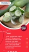 Catat Sist, Ini 6 Buah...