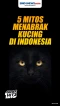 Yuk Simak! Ini 5 Mitos...