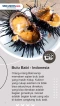 Berani Makan! Ini 6...