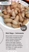 Berani Makan! Ini 6...