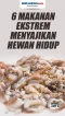 Berani Makan! Ini 6...