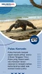 Berikut 5 Pulau di Indonesia...