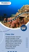 Berikut 5 Pulau di Indonesia...