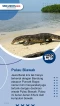 Berikut 5 Pulau di Indonesia...