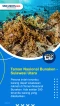 10 Taman Nasional di...