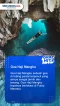 4 Wisata Alam Berau...