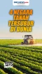 4 Daftar Negara dengan...