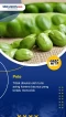 6 Makanan Indonesia...
