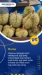 6 Makanan Indonesia...