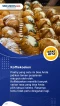 5 Oleh-Oleh Khas Belgia...