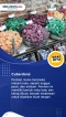 5 Oleh-Oleh Khas Belgia...