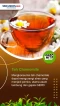7 Jenis Teh Herbal yang...