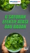 Mudah Didapat dan Efektif,...