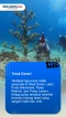 5 Destinasi Wisata Cantik...