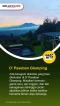5 Rekomendasi Glamping...