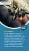 5 Perbandingan Pesawat...
