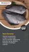 5 Ikan Air Tawar yang...