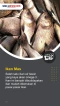 5 Ikan Air Tawar yang...