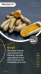 6 Jenis Makanan Sehat...
