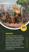 7 Negara Penjajah Terkejam...