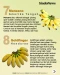 12 Jenis Pisang Terbaik...