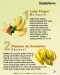 12 Jenis Pisang Terbaik...