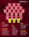 Daftar Pemain Timnas...