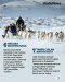 10 Fakta Greenland,...
