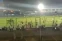 floating-Viral, Pemain Sepakbola...