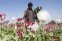floating-Taliban Larang Warga...