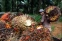 floating-Serikat Petani Kelapa...