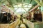 floating-Rawan Tertular PMK dari...